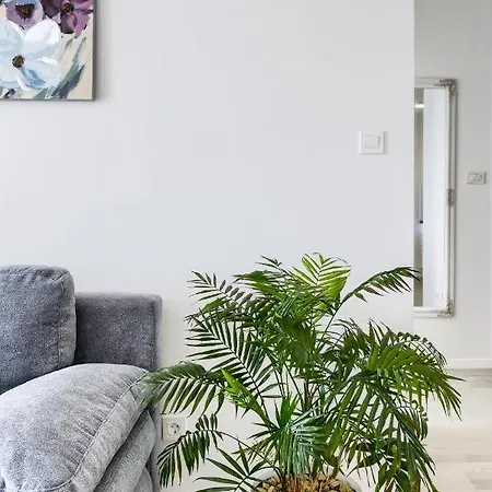 My アパート ザダル